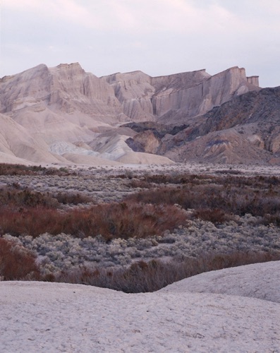 Willow Spring, Mohave Desert, California (MF).jpg